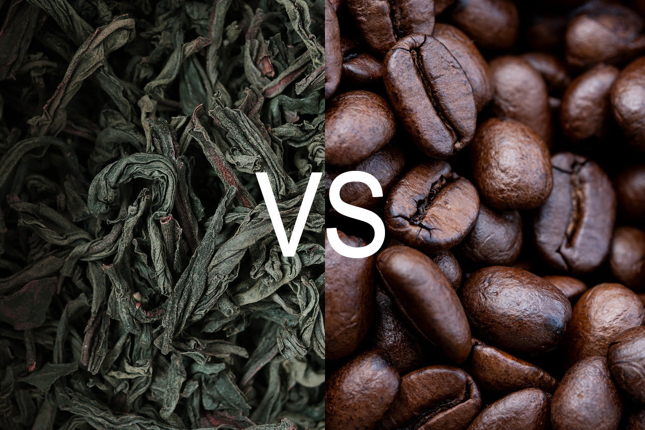 Teein vs. Koffein: Unterschied, Wirkung & interssante Fakten!